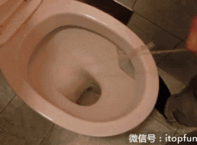 经典搞笑gif图片图片 _ 第(1)张