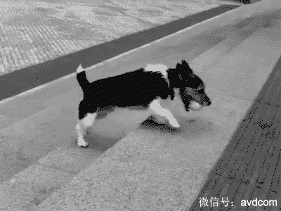 真心英雄陈学冬可爱表情擦玻璃动态搞笑GIF图片第4张