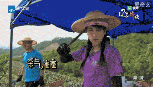 井柏然图片 _ 第(9)张