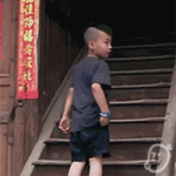 表情包图片 _ 第(10)张