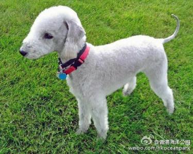 风光图片图片 _ 第(8)张