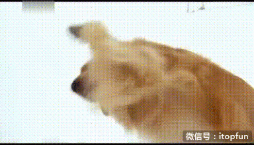 恶搞图片 _ 第(5)张