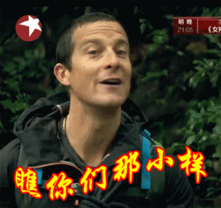 鸡年搞笑表情包图片第6张