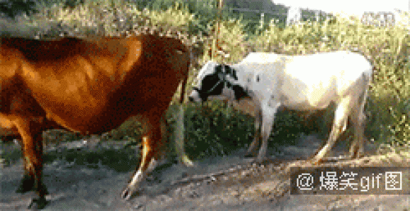 小卡通图片 _ 第(3)张