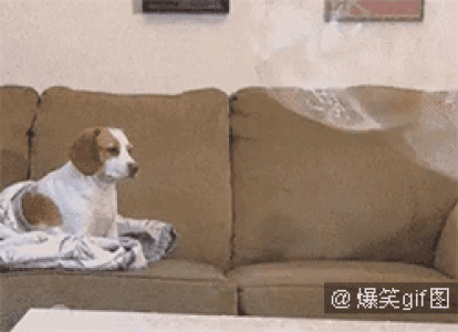 小卡通图片 _ 第(8)张