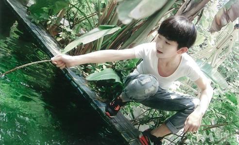 tfboys图片 _ 第(7)张