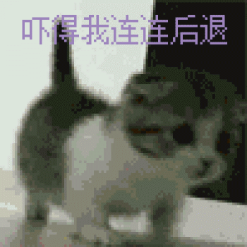 表情包图片 _ 第(3)张