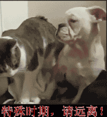 表情包图片 _ 第(5)张