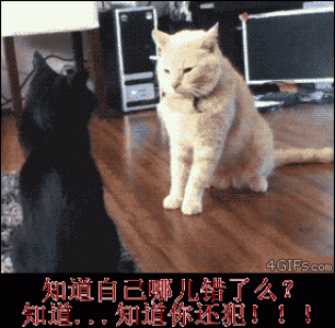 表情包图片 _ 第(6)张