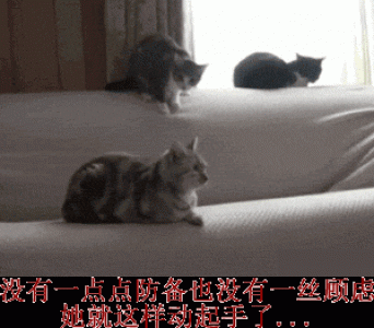 表情包图片 _ 第(7)张