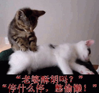 表情包图片 _ 第(8)张
