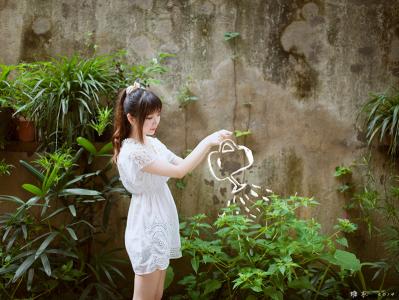 唯美花园图片 _ 第(8)张