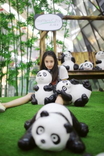 熊图片第2张