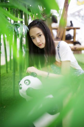 熊图片第4张