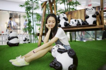 熊猫图片 _ 第(9)张