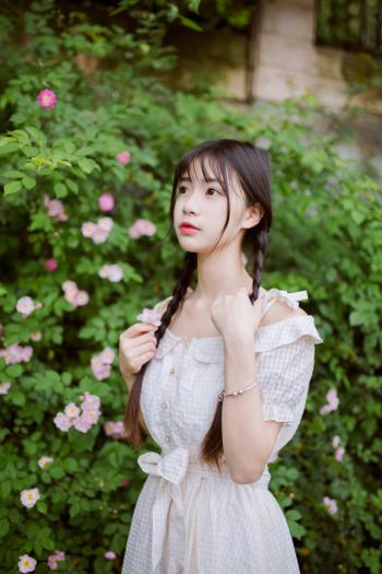 麻花辫气质邻家女孩的花海写真图片第1张