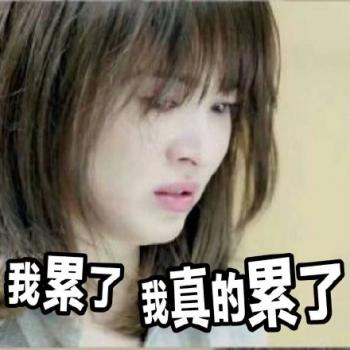 可爱猫咪带字表情包图片第5张