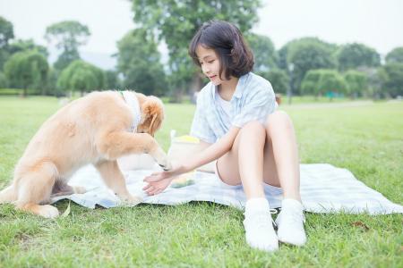 超可爱小猫图片高清手机壁纸第4张