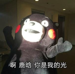 鹿晗图片图片 _ 第(4)张