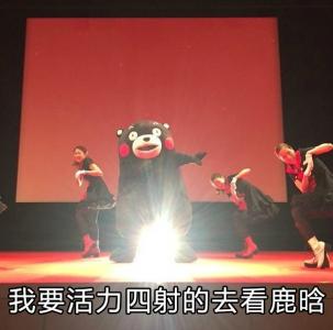 鹿晗图片图片 _ 第(9)张