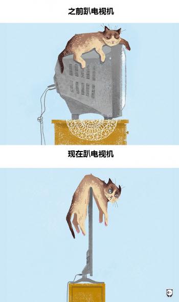 现代生活对猫产生的变化第0张