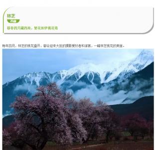 带你看遍人间四月美-搜图界旅游景点推荐第3张