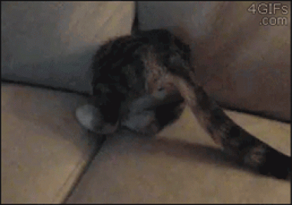 90后性感小猫咪写真第0张