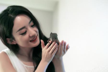 赵丽颖性感露肩写真手机壁纸第3张