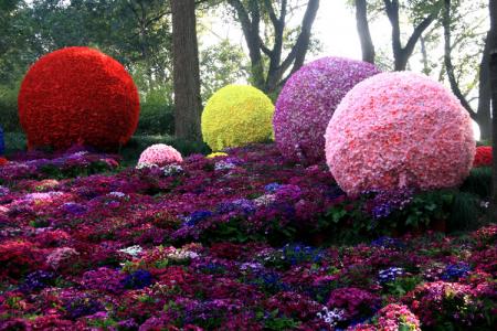 节日图片 _ 第(9)张