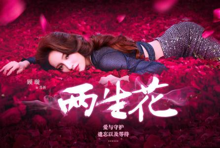 气质美女王丽坤清新素雅纯净至美艺术写真图片第1张