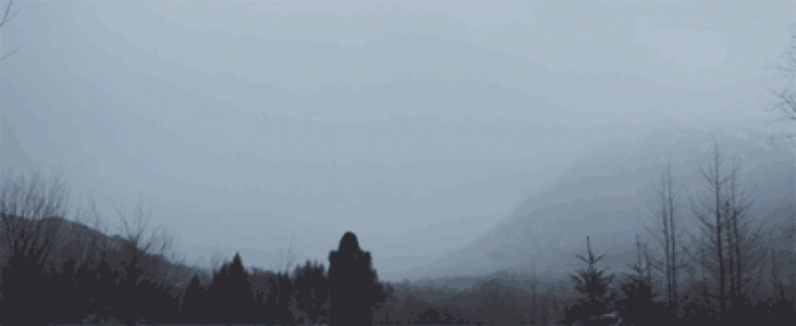奇幻大鱼GIF动图 在空中翻滚的鲸鱼动图第3张