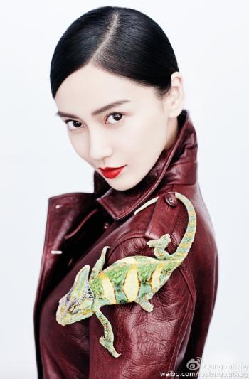 中国内地上海影视女演员Angelababy杨颖最新写真图片第3张