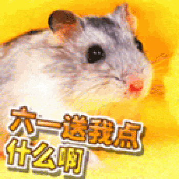 熊猫图片 _ 第(27)张
