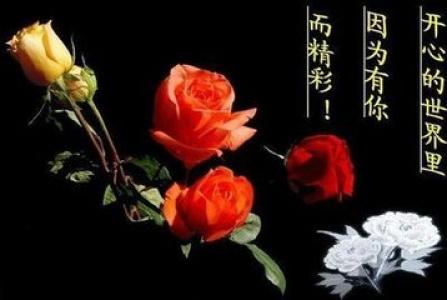 节日图片 _ 第(21)张