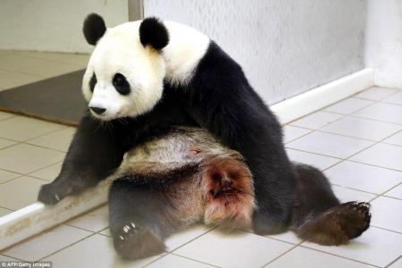 第3张