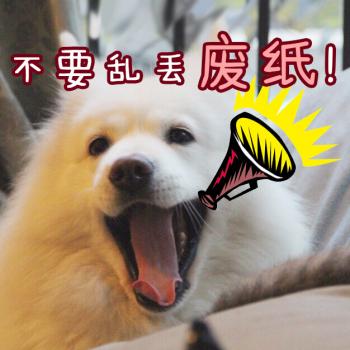 动物壁纸图片 _ 第(4)张