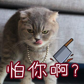 动物壁纸图片 _ 第(6)张