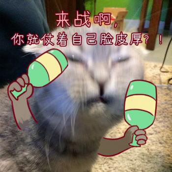动物壁纸图片 _ 第(8)张