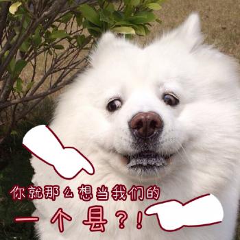 动物壁纸图片 _ 第(9)张