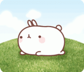 图片 _ 第(4)张