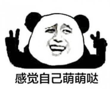 熊图片第5张