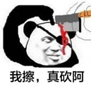熊猫图片 _ 第(10)张