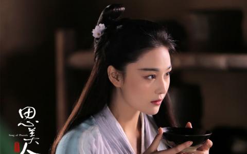 杨紫图片图片 _ 第(8)张