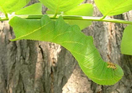 图片 _ 第(3)张