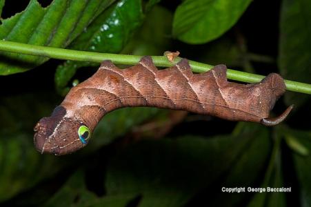 图片 _ 第(13)张