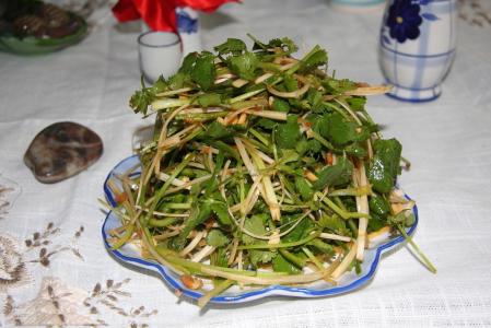 东北老虎菜图片  东北美食图片第3张