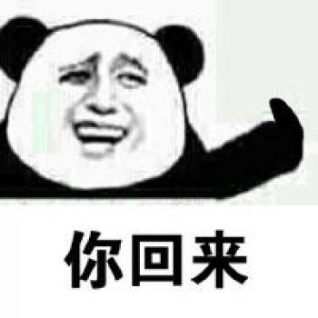 熊猫图片 _ 第(9)张