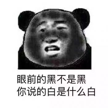 熊猫图片 _ 第(8)张
