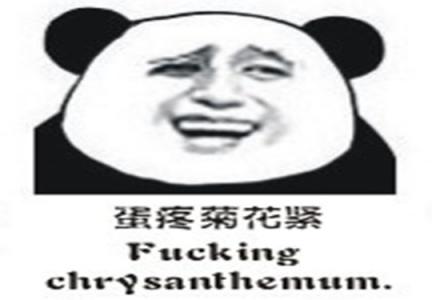 熊猫图片 _ 第(6)张