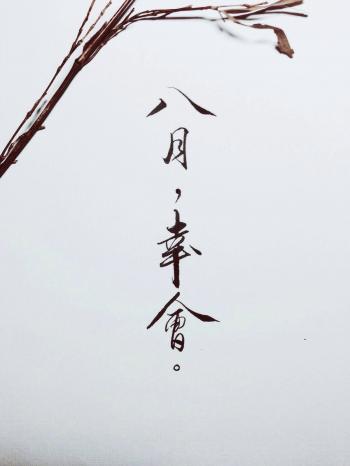 字体图片图片 _ 第(13)张